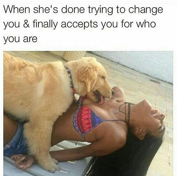She don't want no pets but I'm a dog yeah, yeah.