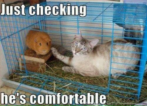 Just Checking...