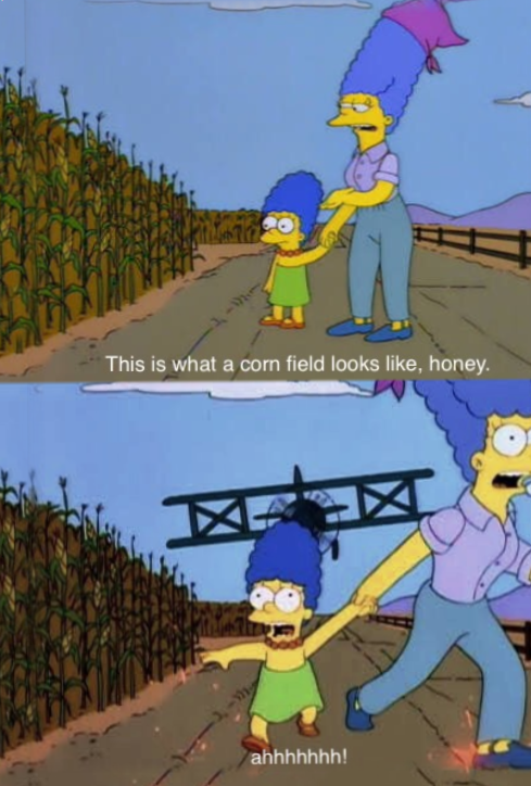 This is what a cornfield looks like, honey