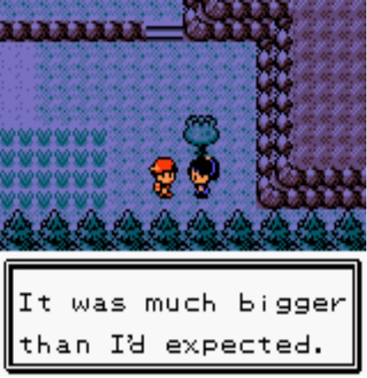 Pokemon after dark