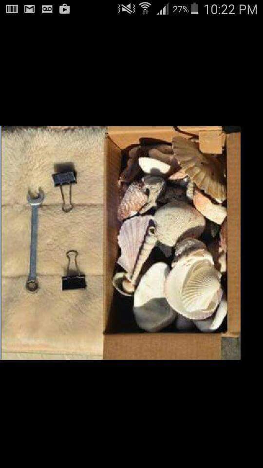 9mm with 2 clips and a box of shells