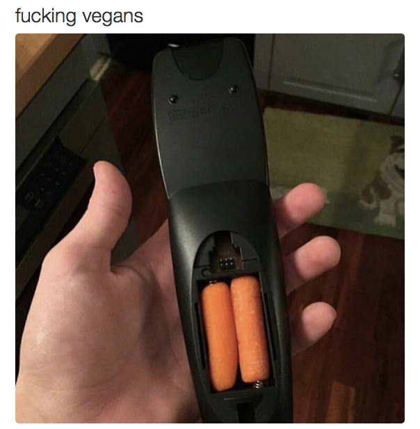 Vegan remotes