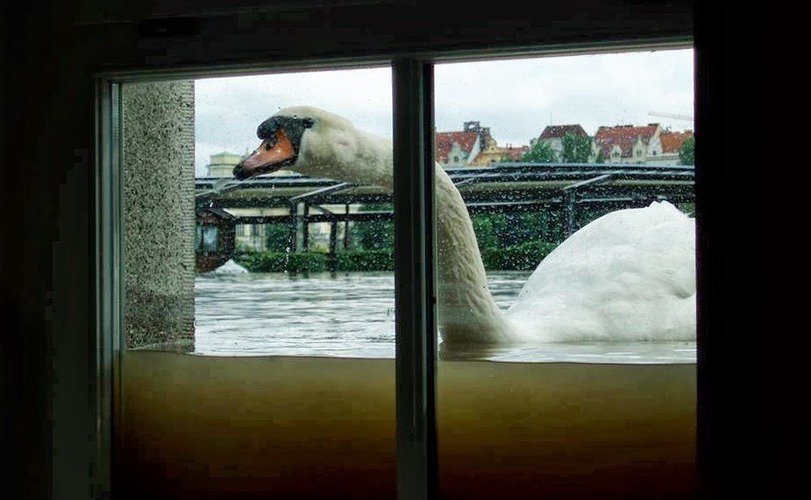 So there's been a bit of rain in Ireland recently...