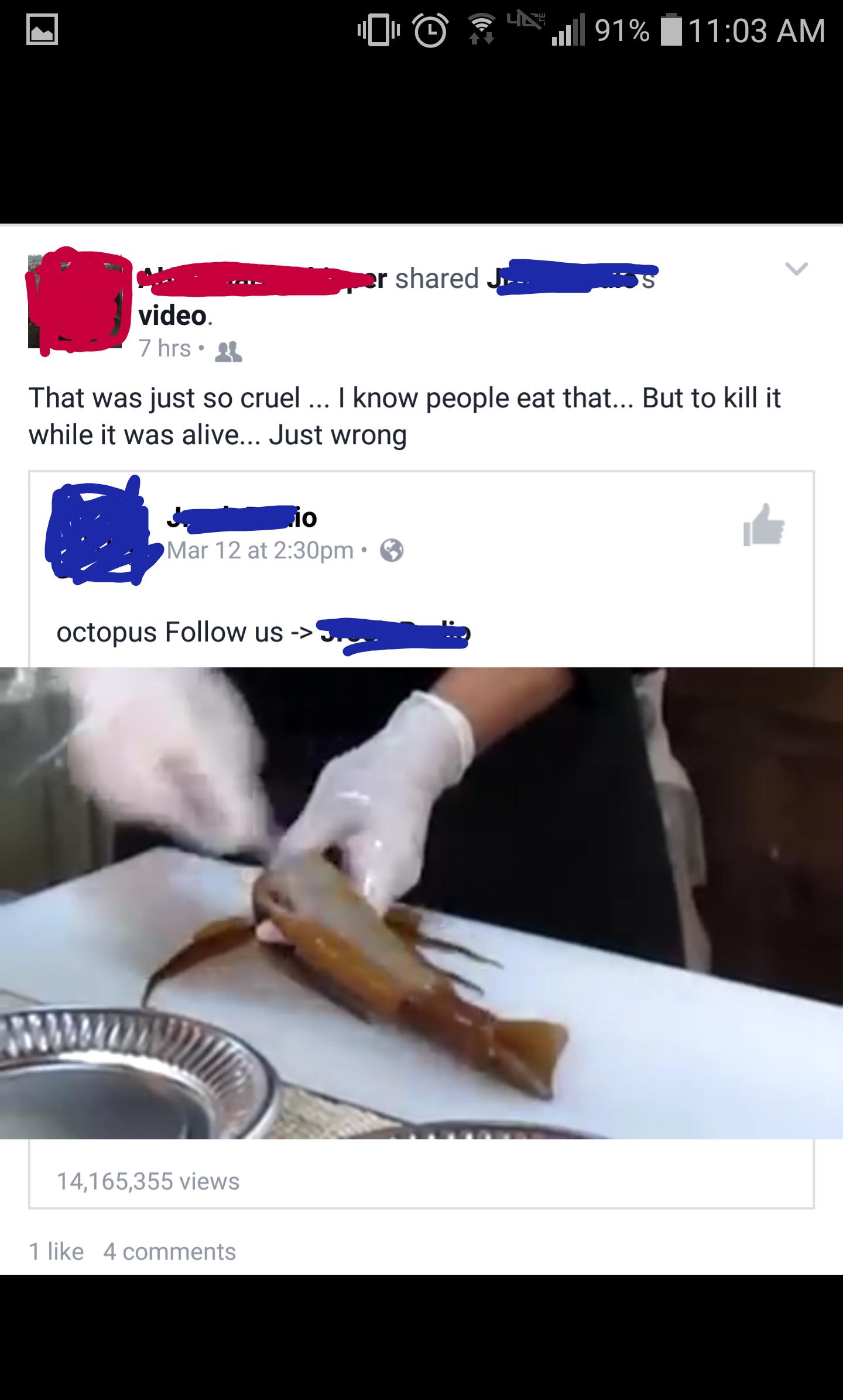 Killed while it was alive :(