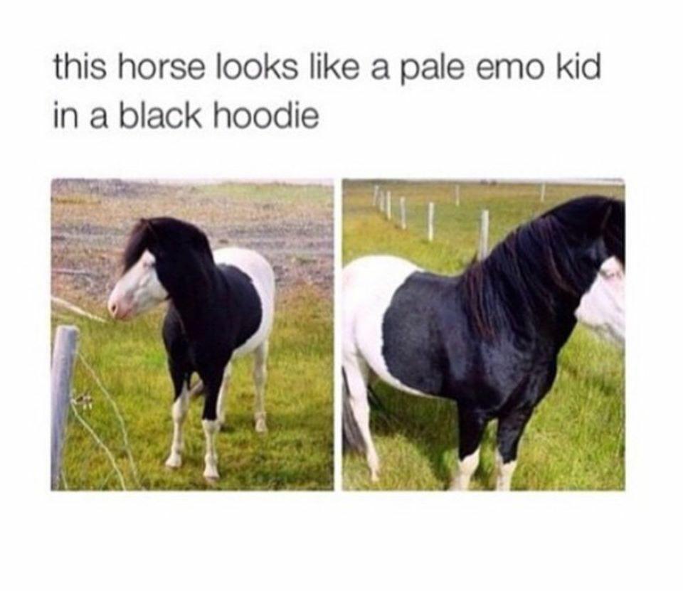 Emo Horse