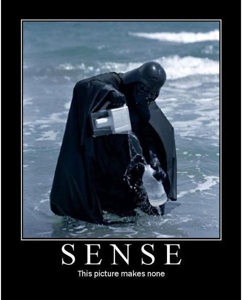 What's Sense?
