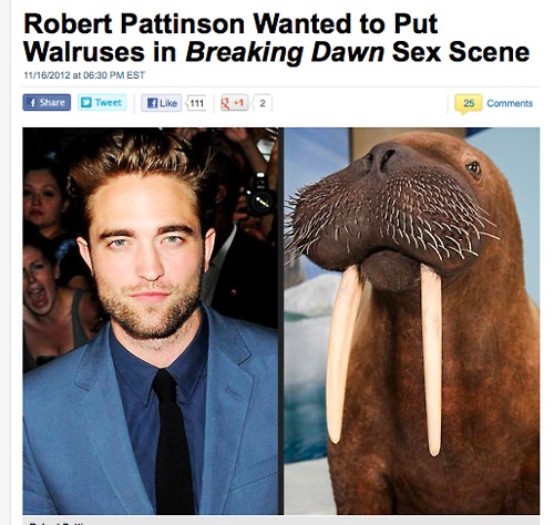 Oh Robert, you special being.