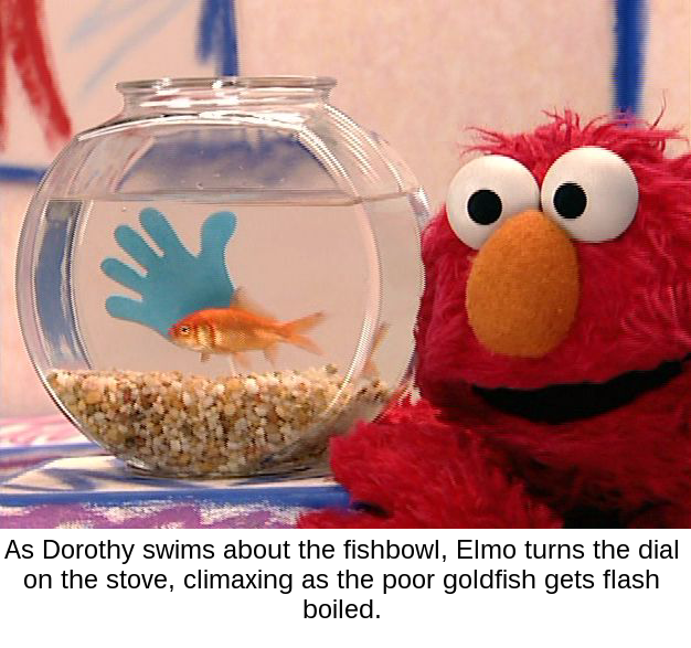 The many lives of Dorothy the Goldfish