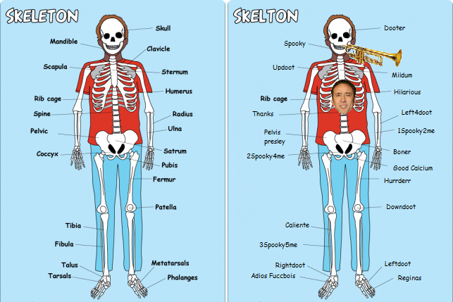 Differences between Fuccbois and Good Calcium