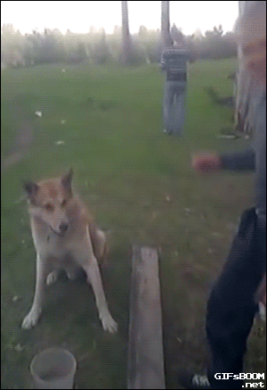 High Five