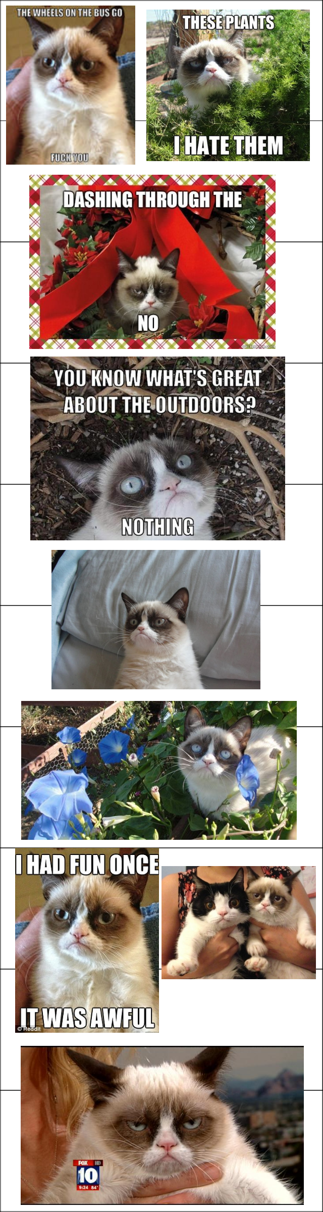 Grumpy Cat Compilation