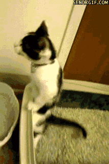 Peeing like a MAN