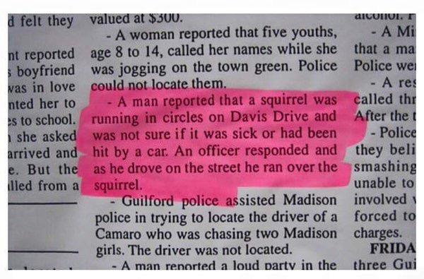 Stupid cop, poor squirrel.