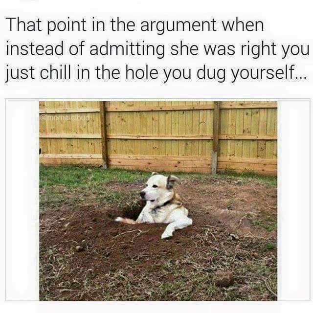 I'll just chill here