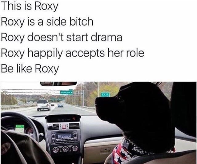 Loyal as ***