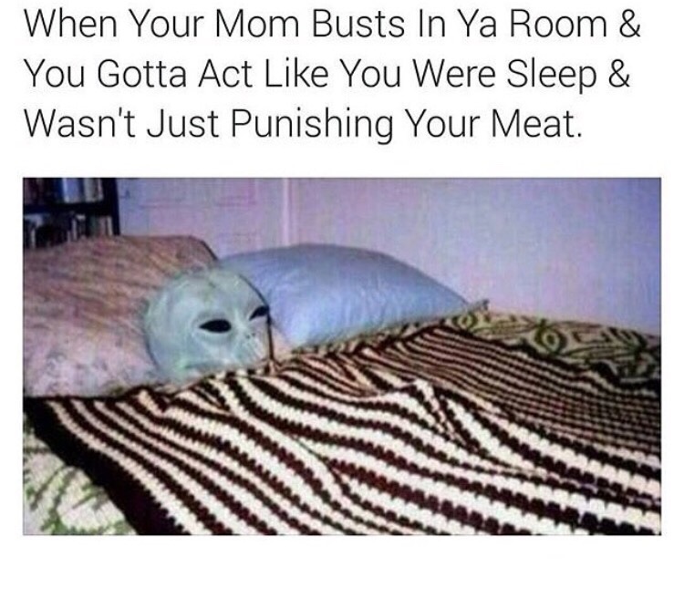 Ayy lmao.