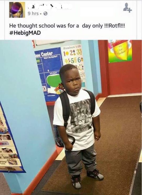 #HebigMAD