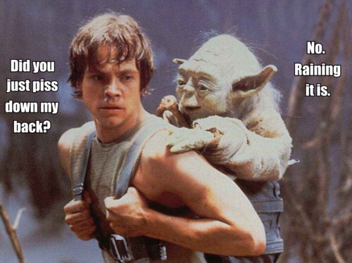 Yoda was still pissed with his father...