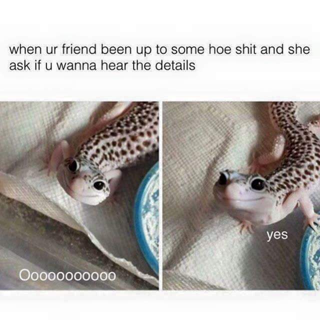***es be gossiping and shit