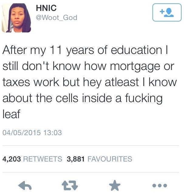 I've learnt nothing..