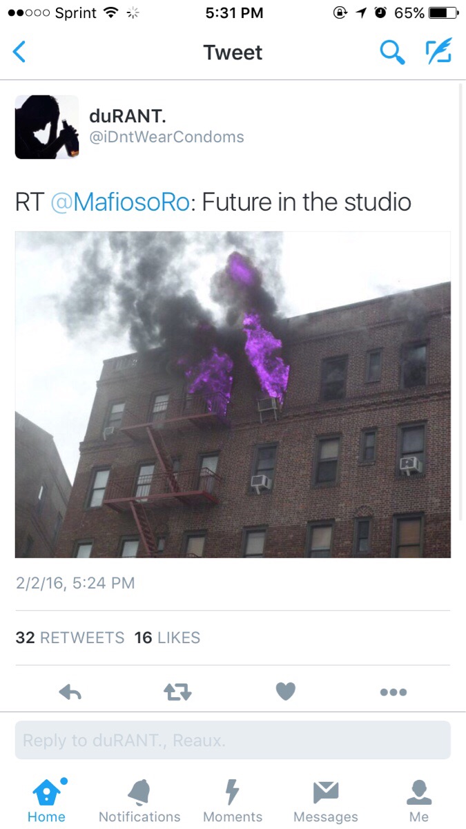 PURPLE FLAME PURPLE FLAME