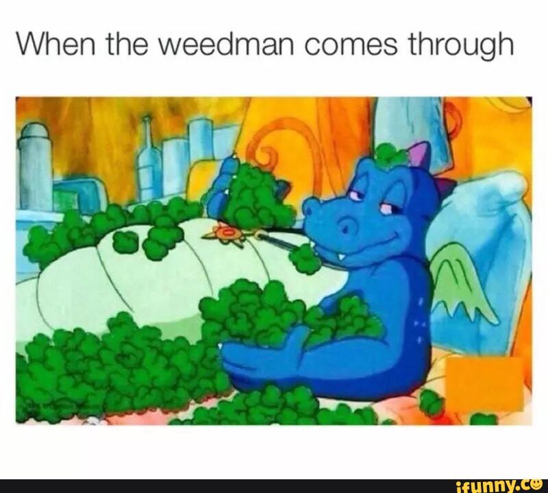 When the weedman comes through
