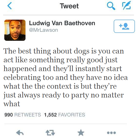 This is why dogs are awesome