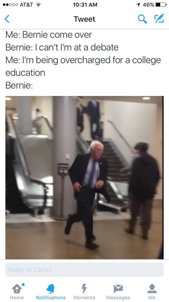 Cmon bernie