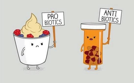 The Biotics.