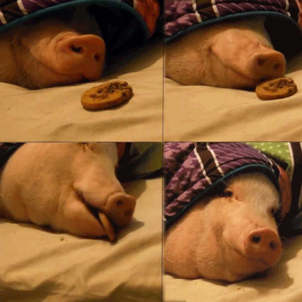 me@irl