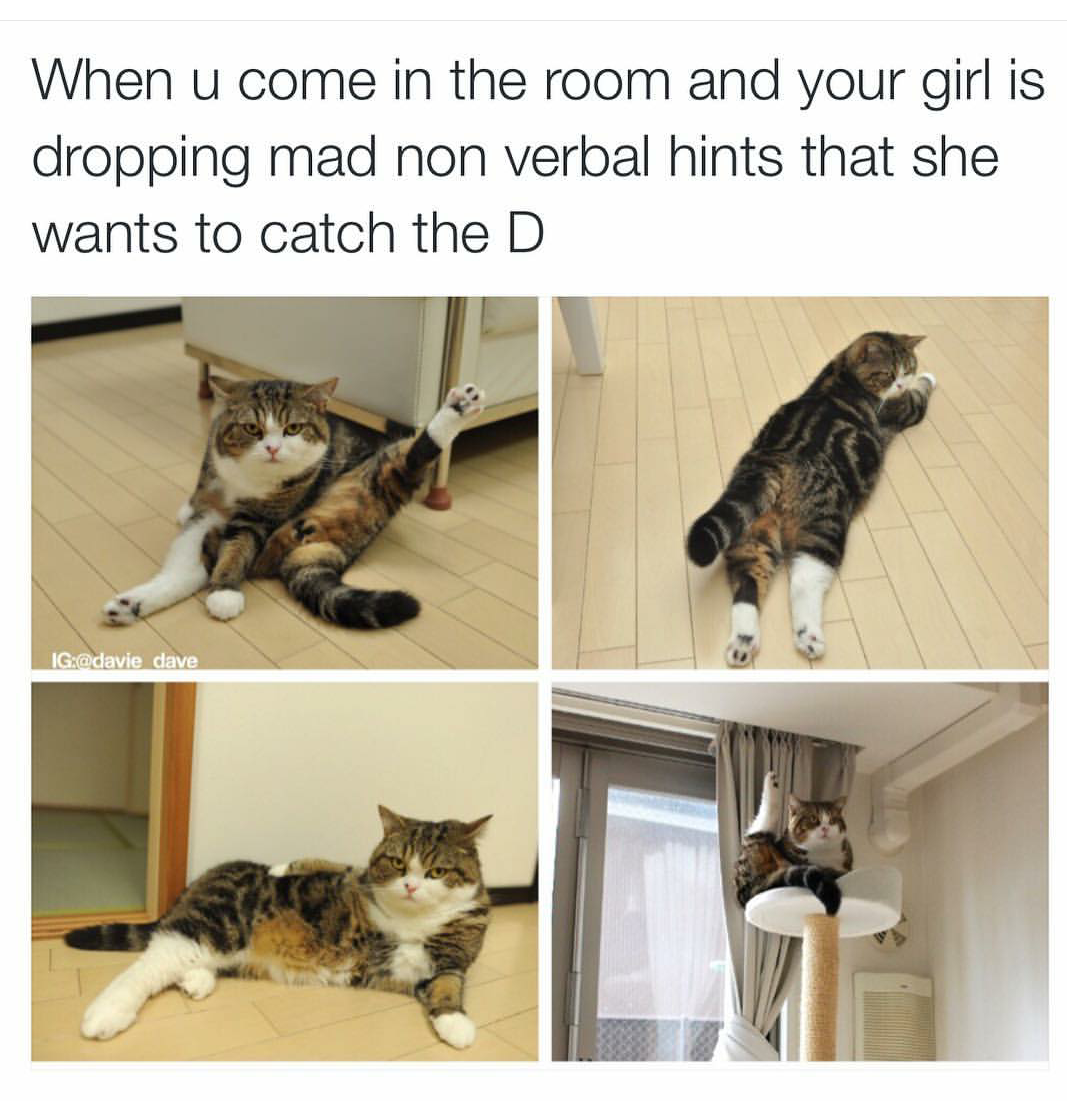 The pussy be calling you