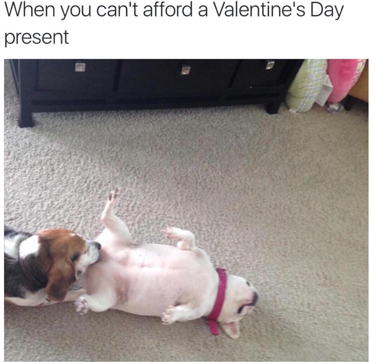When you can't afford a Valentine's Day present