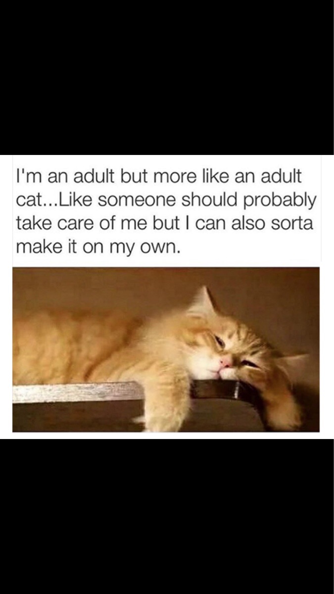 MeðŸ±irl