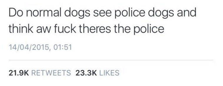 Aww shit it's a police dog