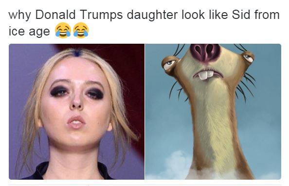 Sloth Lookin Ass