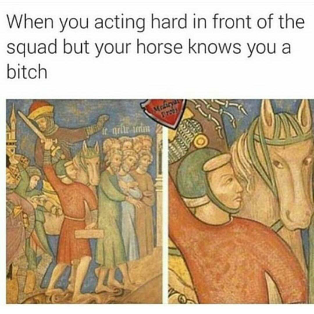 Your horse has seen it all