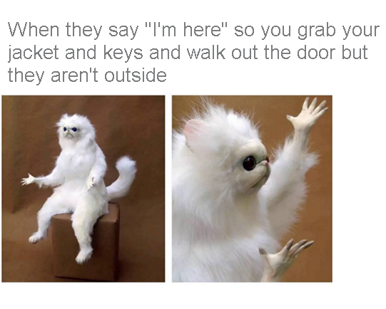 Mother***er showed up 40 minutes later