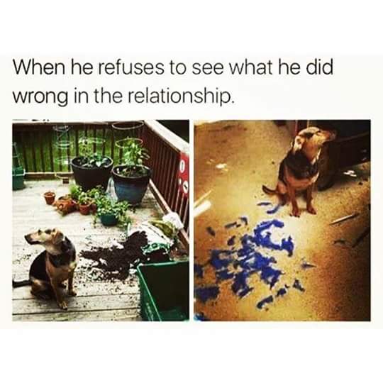 It wasn't me.