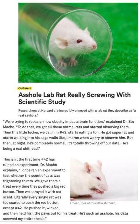 meðŸ­irl