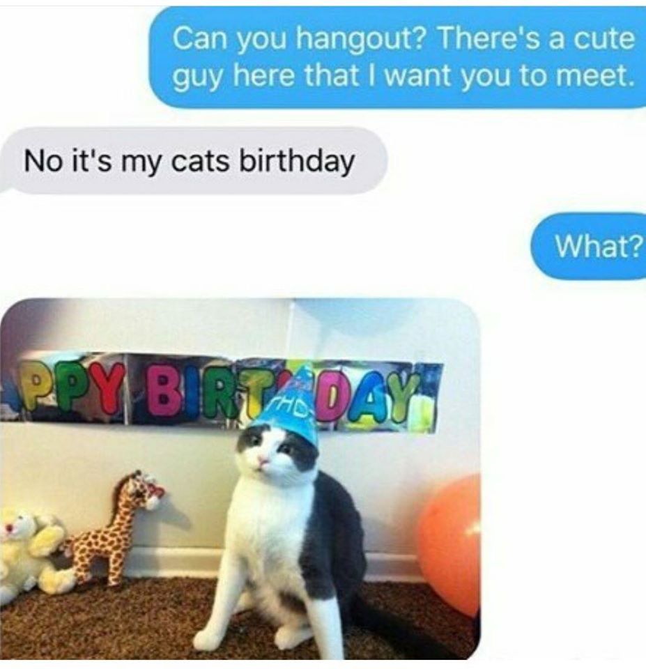 Her cat's birthday is more important