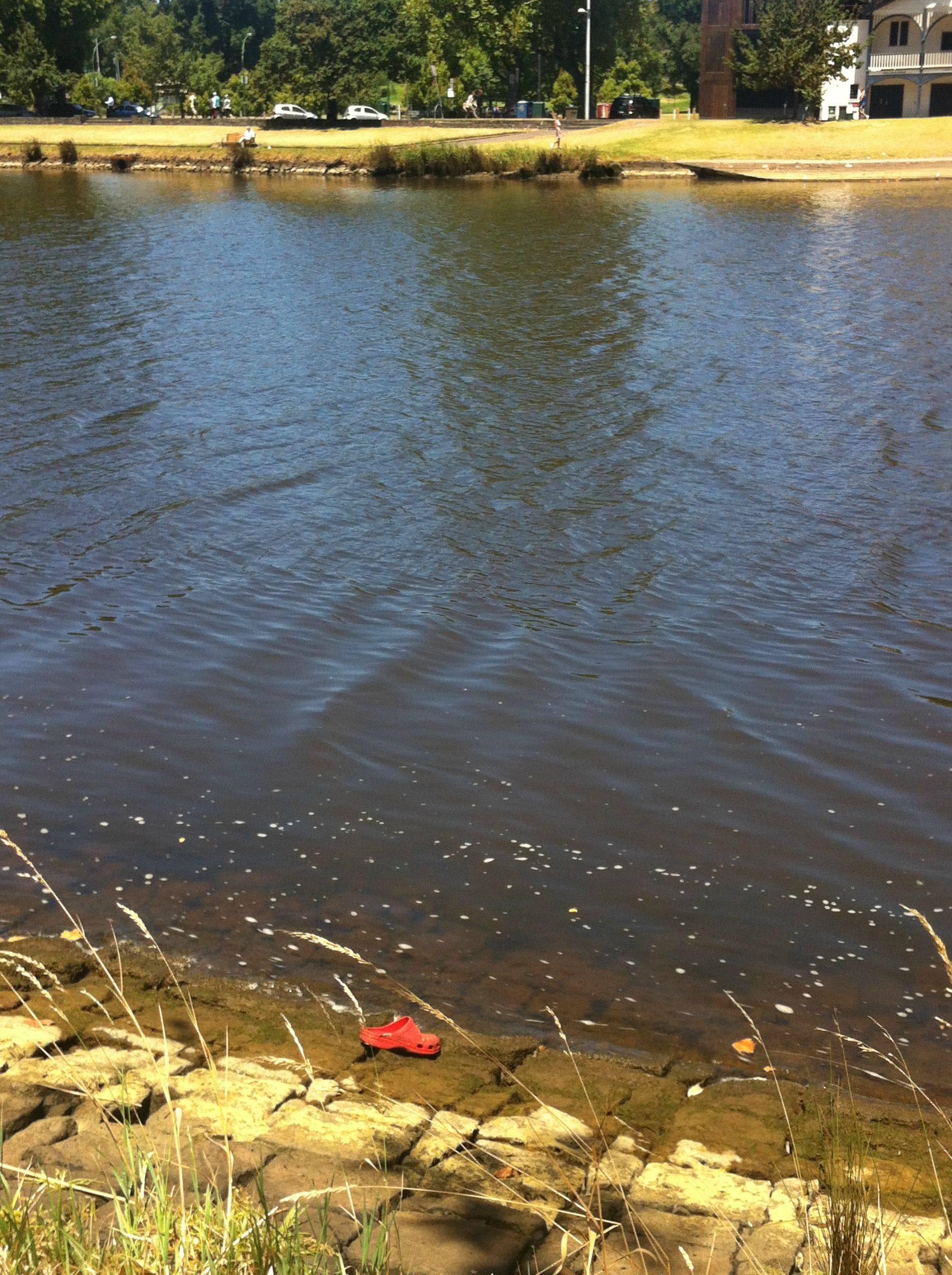 Croc sunning itself on a river bank