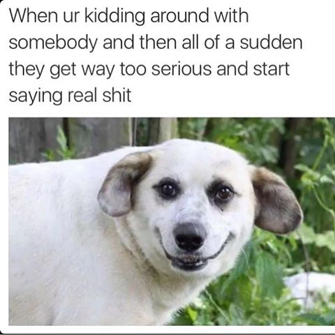 Shit just got real