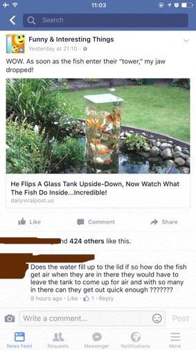 Like a fish out of water