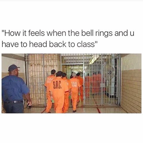 Can't cage me forever