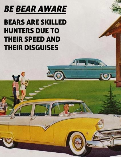Safety first guys... Always be bear aware