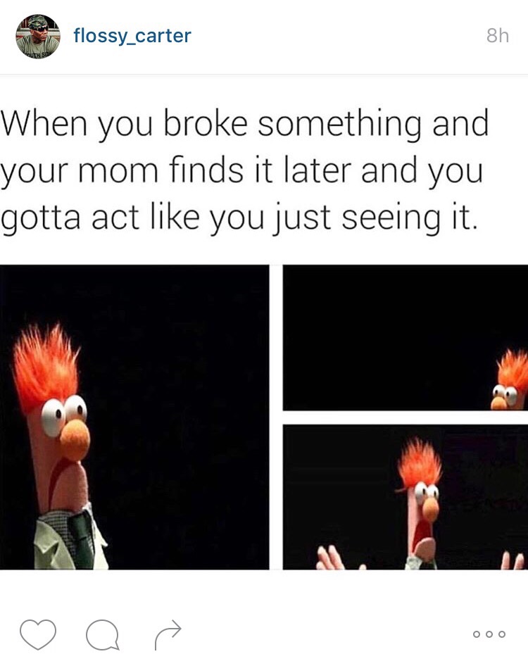 Wasn't me