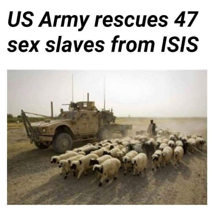 Sex slaves rescued