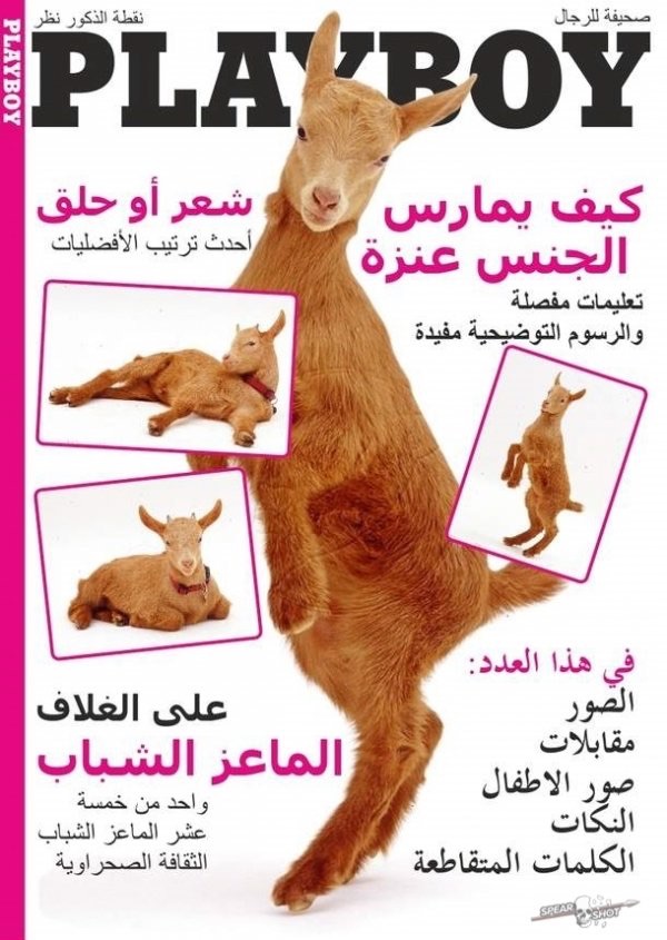 Arabian porn magazine