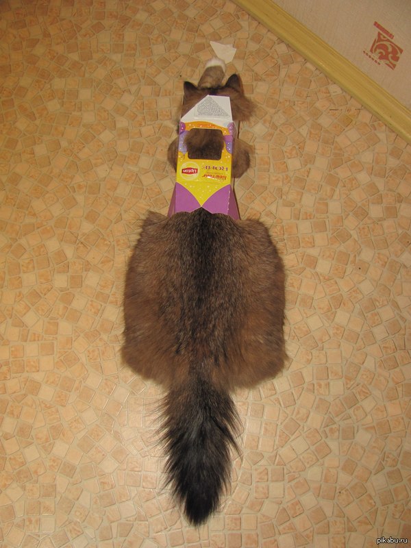If it fits...