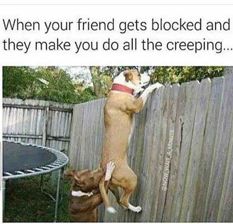 Bros gotta be helping each other out
